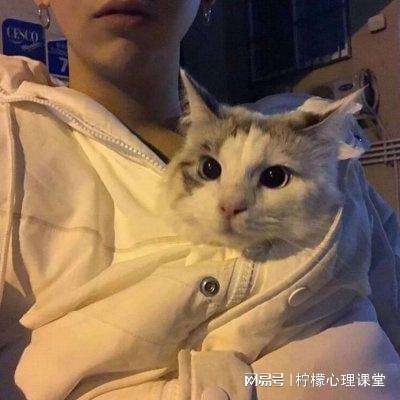 pubgnewstate公测版本下载