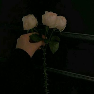挑战全网游戏下载
